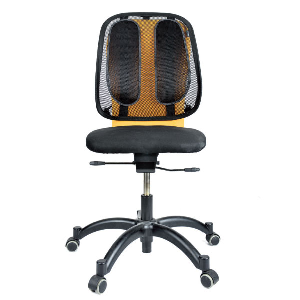 RESPALDO LUMBAR ERGONOMICO FELLOWES Ref. 9191301